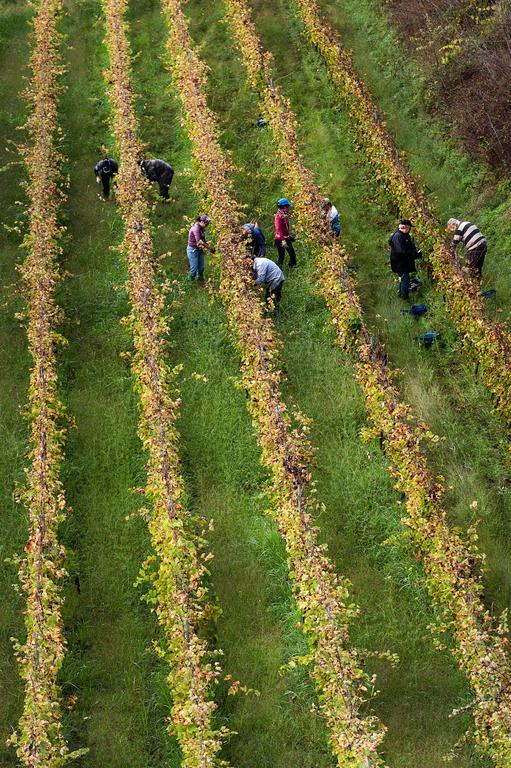 ميلو Wine Resort Villagrande المظهر الخارجي الصورة