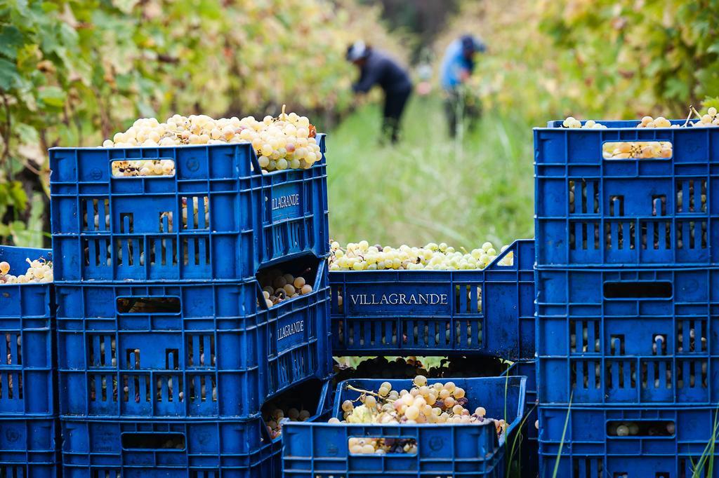 ميلو Wine Resort Villagrande المظهر الخارجي الصورة